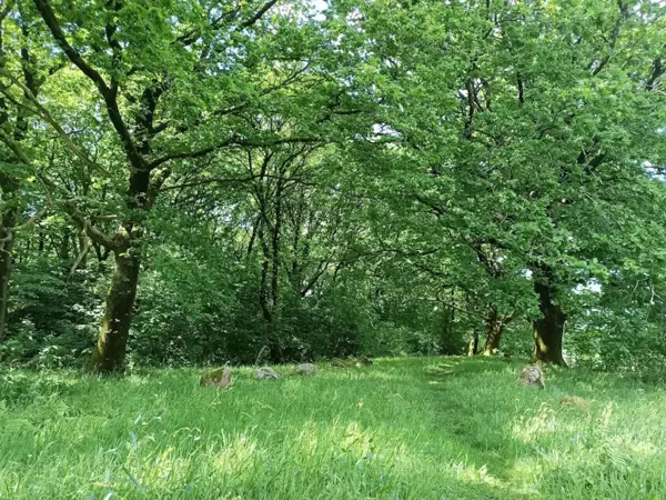 Bild 35 von 42