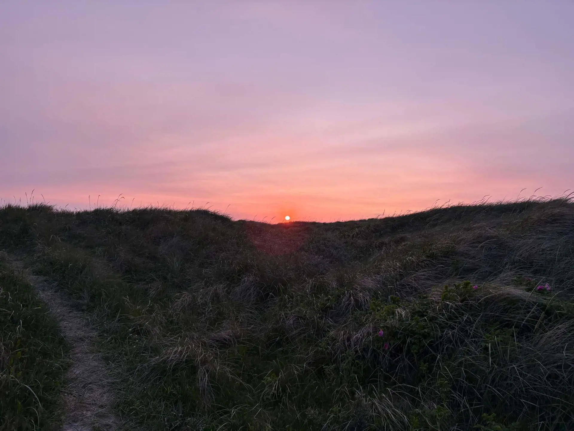 Bild 38 von 40
