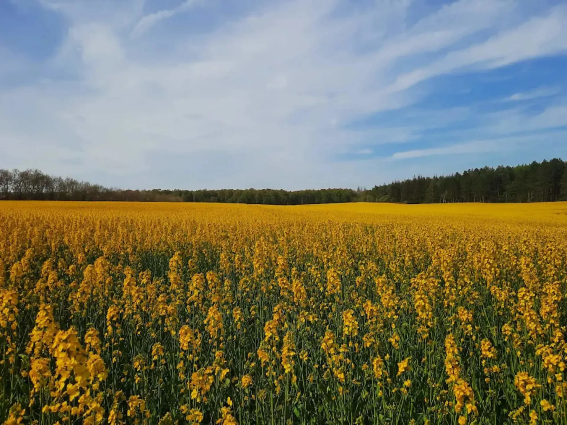 Bild 58 von 59