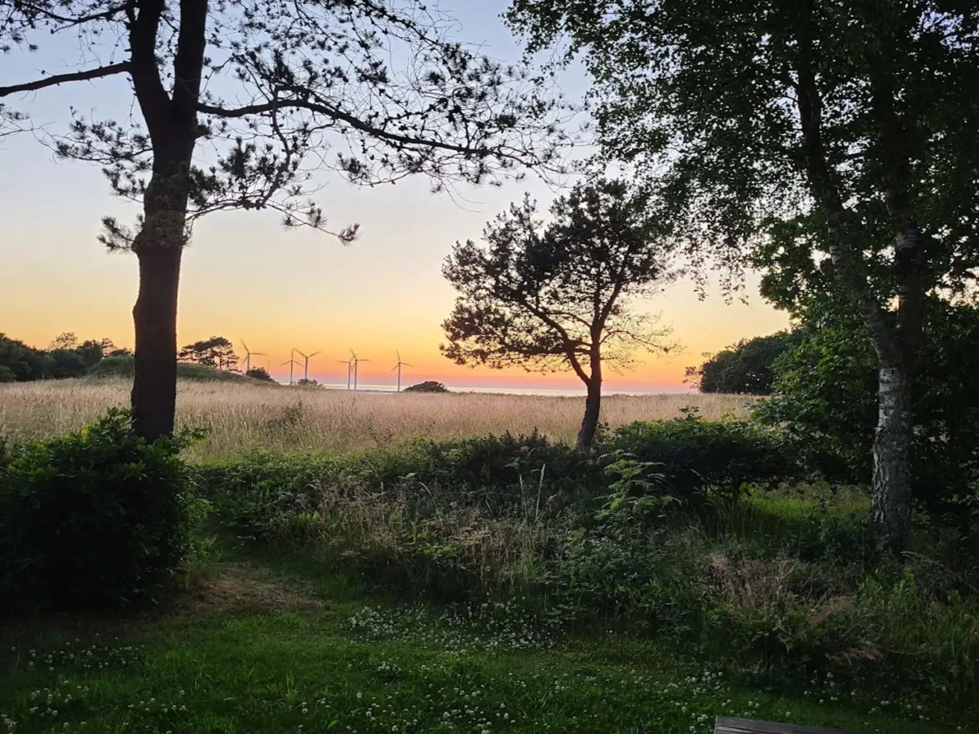 Bild 59 von 59