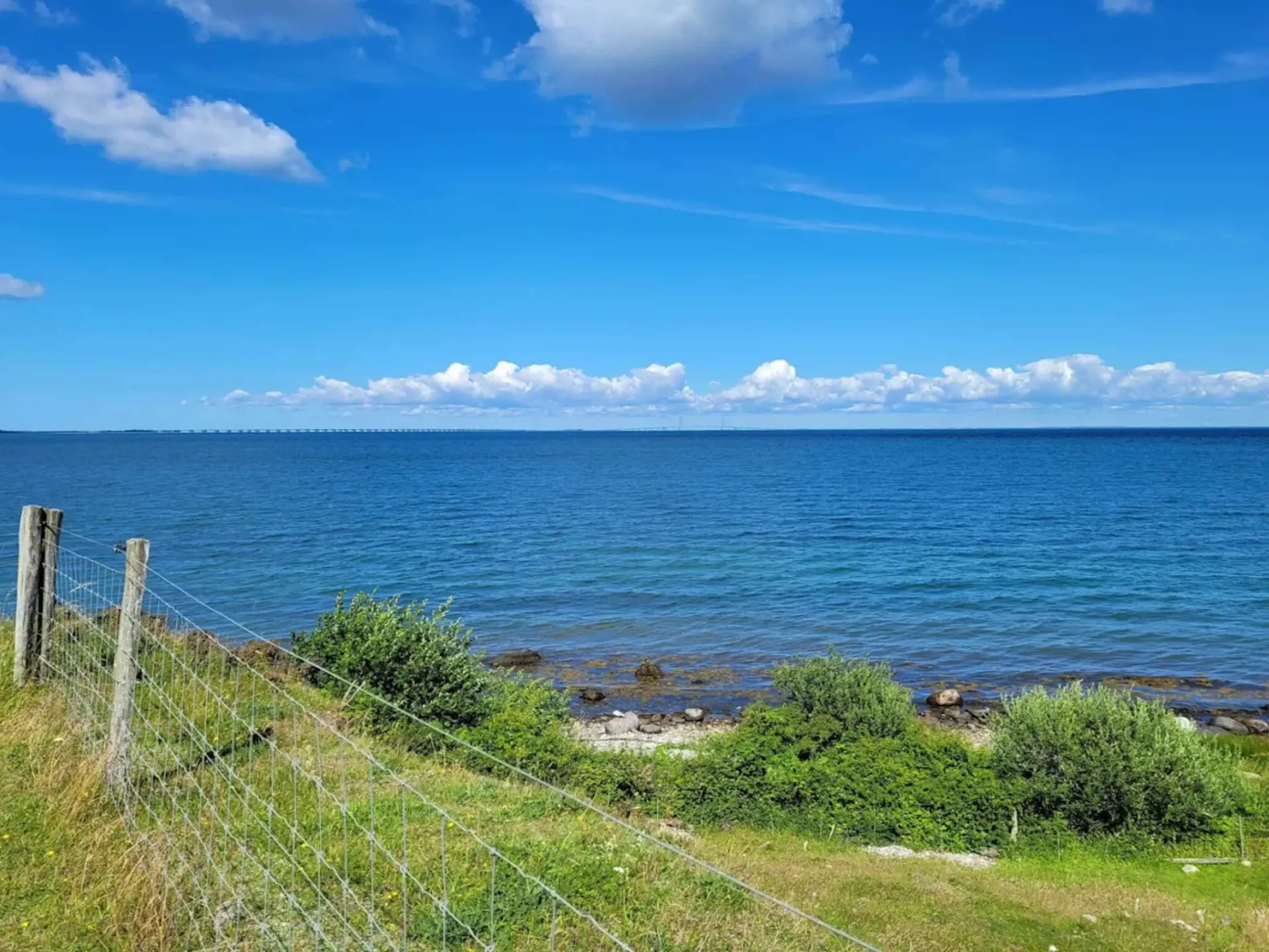 Bild 36 von 60
