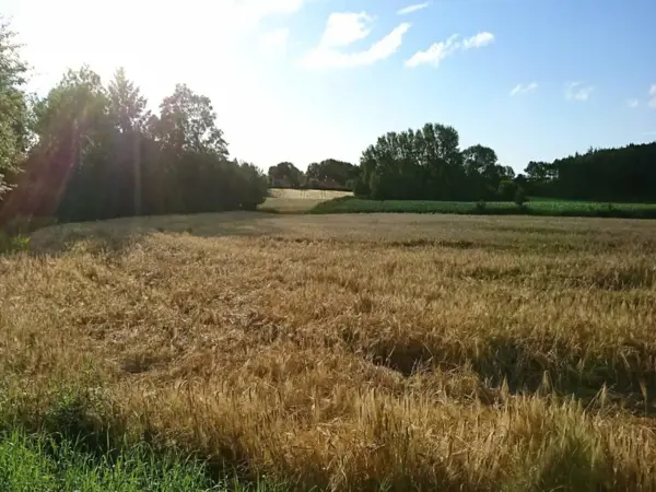Bild 35 von 40