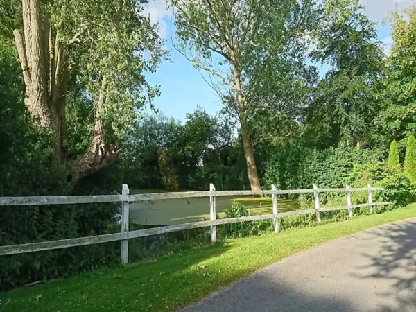 Bild 36 von 40