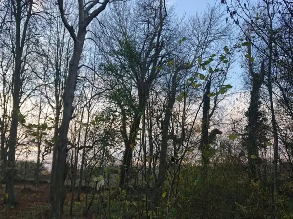 Bild 39 von 40