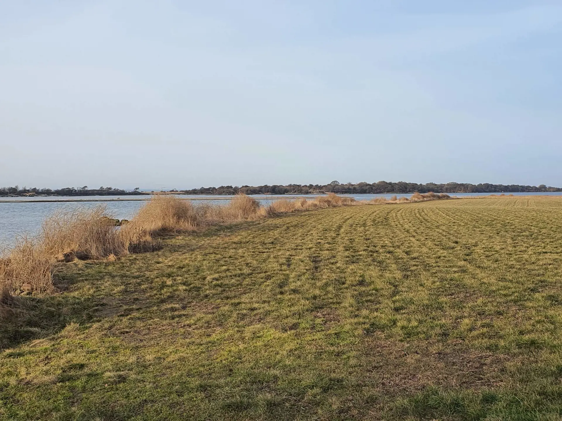 Bild 40 von 40