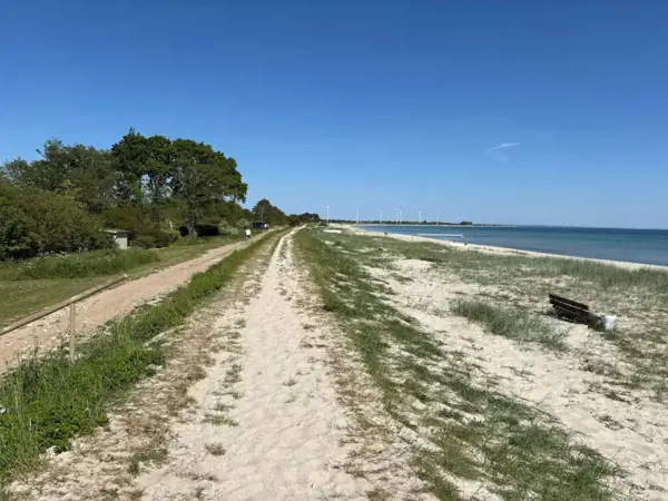 Bild 19 von 46