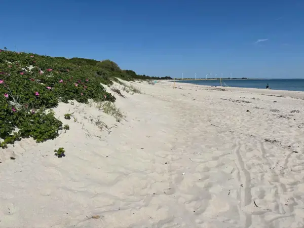 Bild 26 von 49