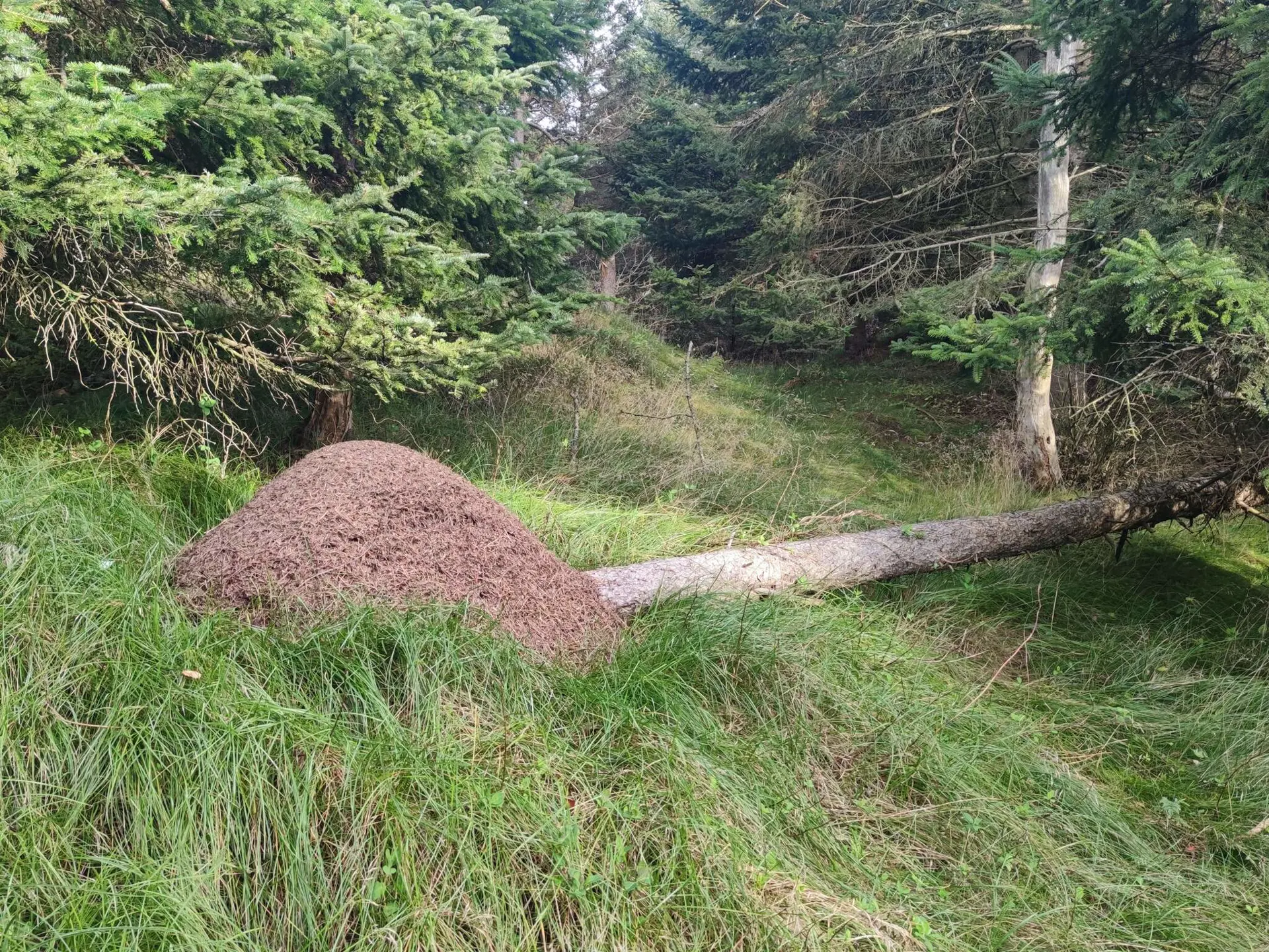 Bild 37 von 37