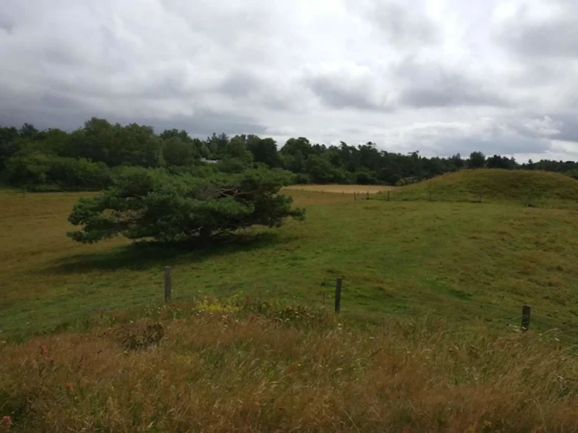 Bild 38 von 40