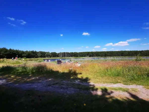 Bild 13 von 38