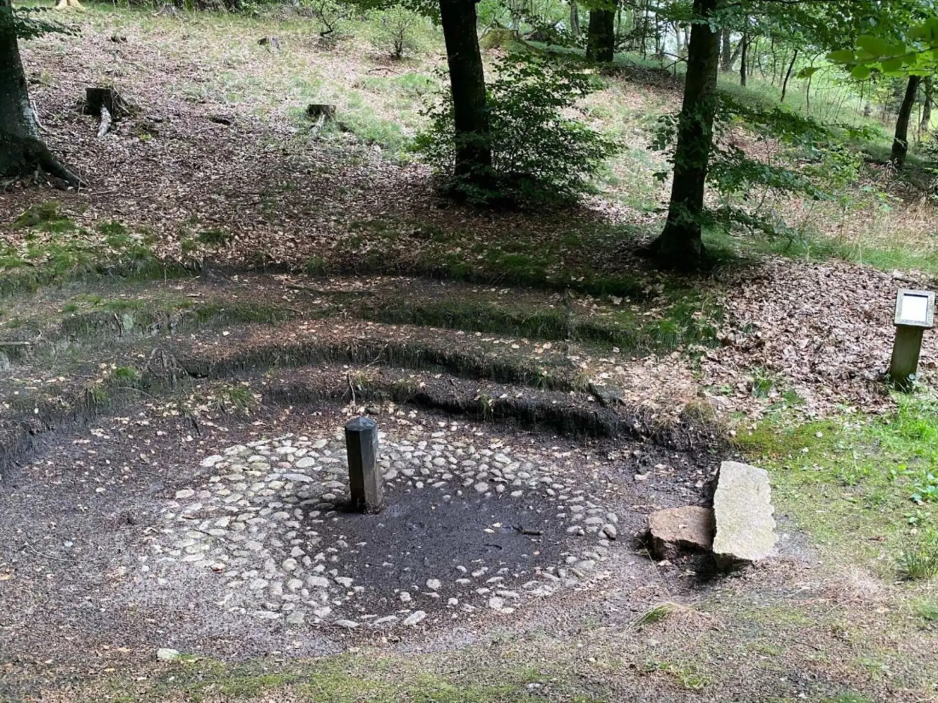 Bild 37 von 42