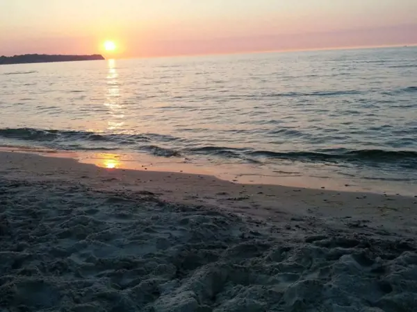 Bild 28 von 51