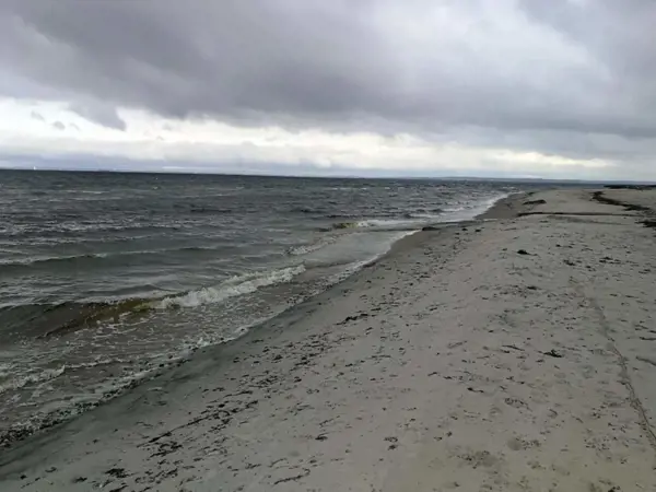 Bild 33 von 51