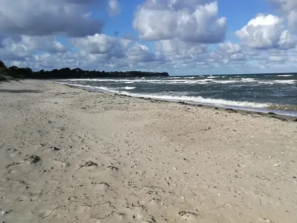 Bild 34 von 51