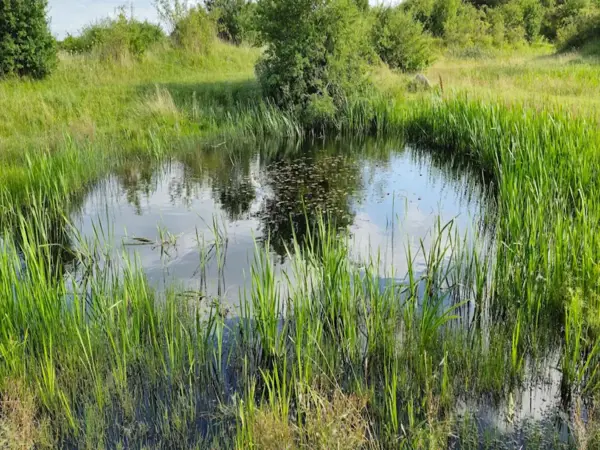 Bild 33 von 55
