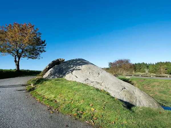 Bild 51 von 55