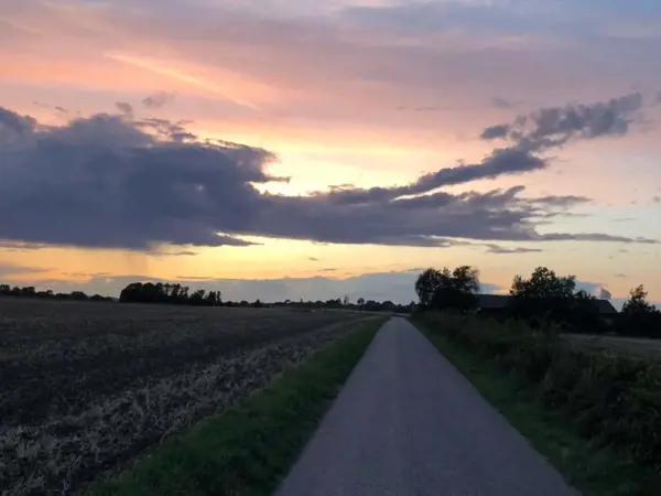 Bild 44 von 44