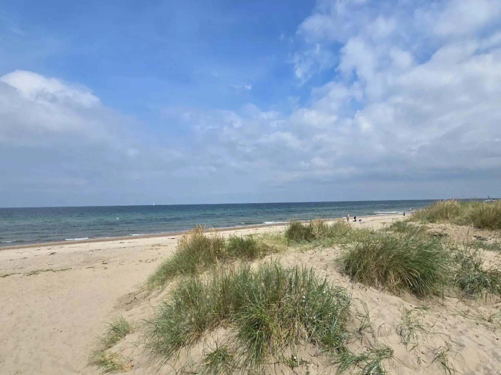 Bild 37 von 50