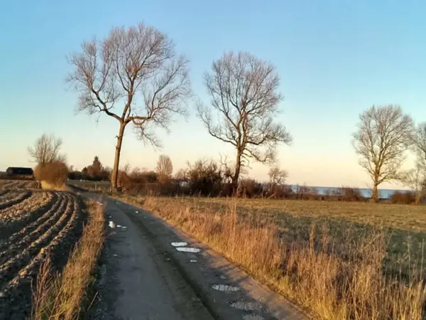 Bild 17 von 30