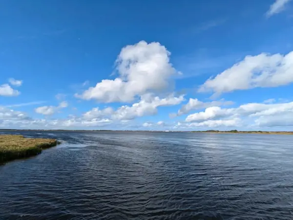 Bild 25 von 50
