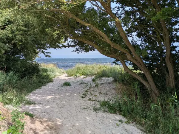 Bild 31 von 35