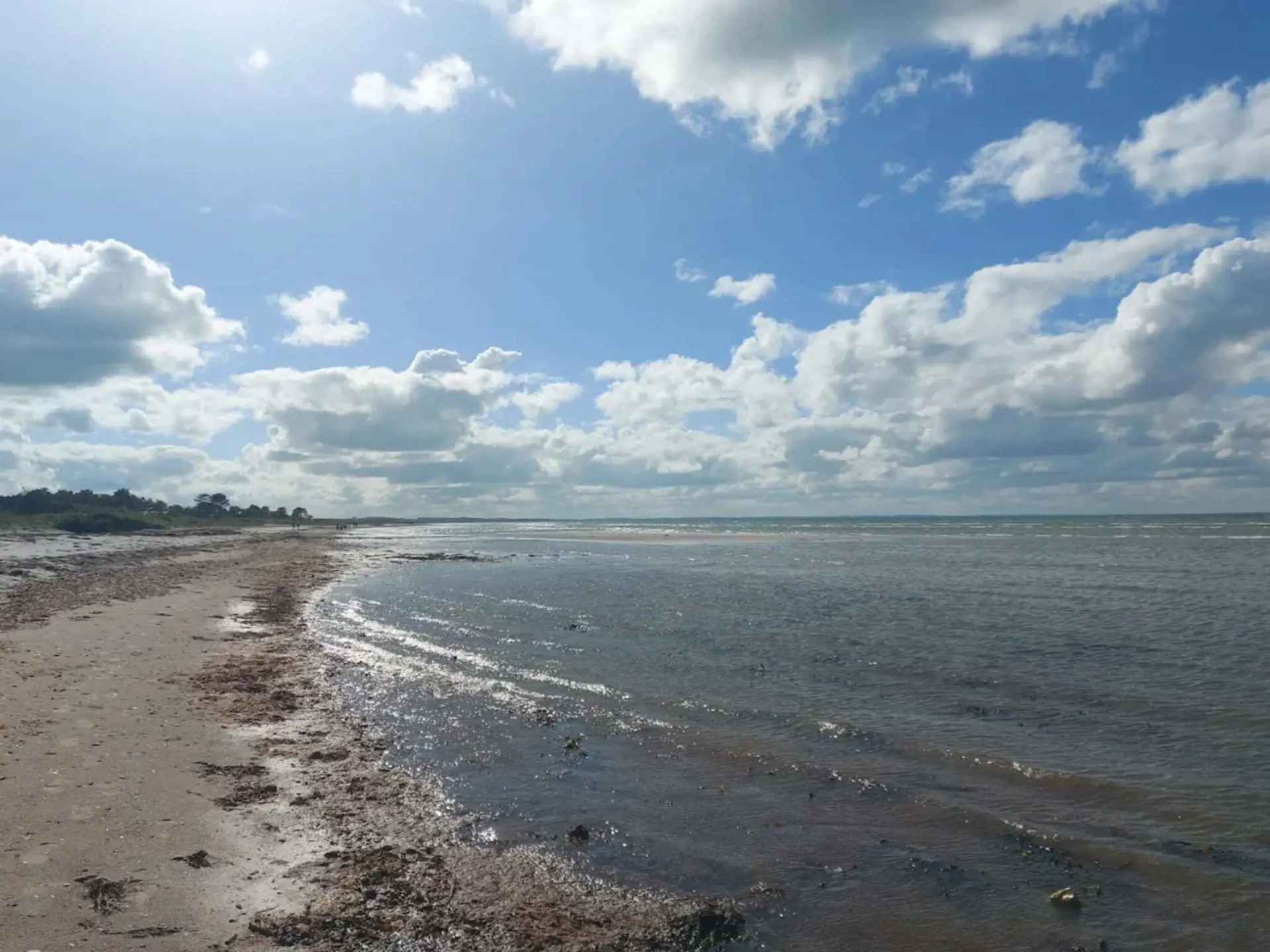 Bild 26 von 55