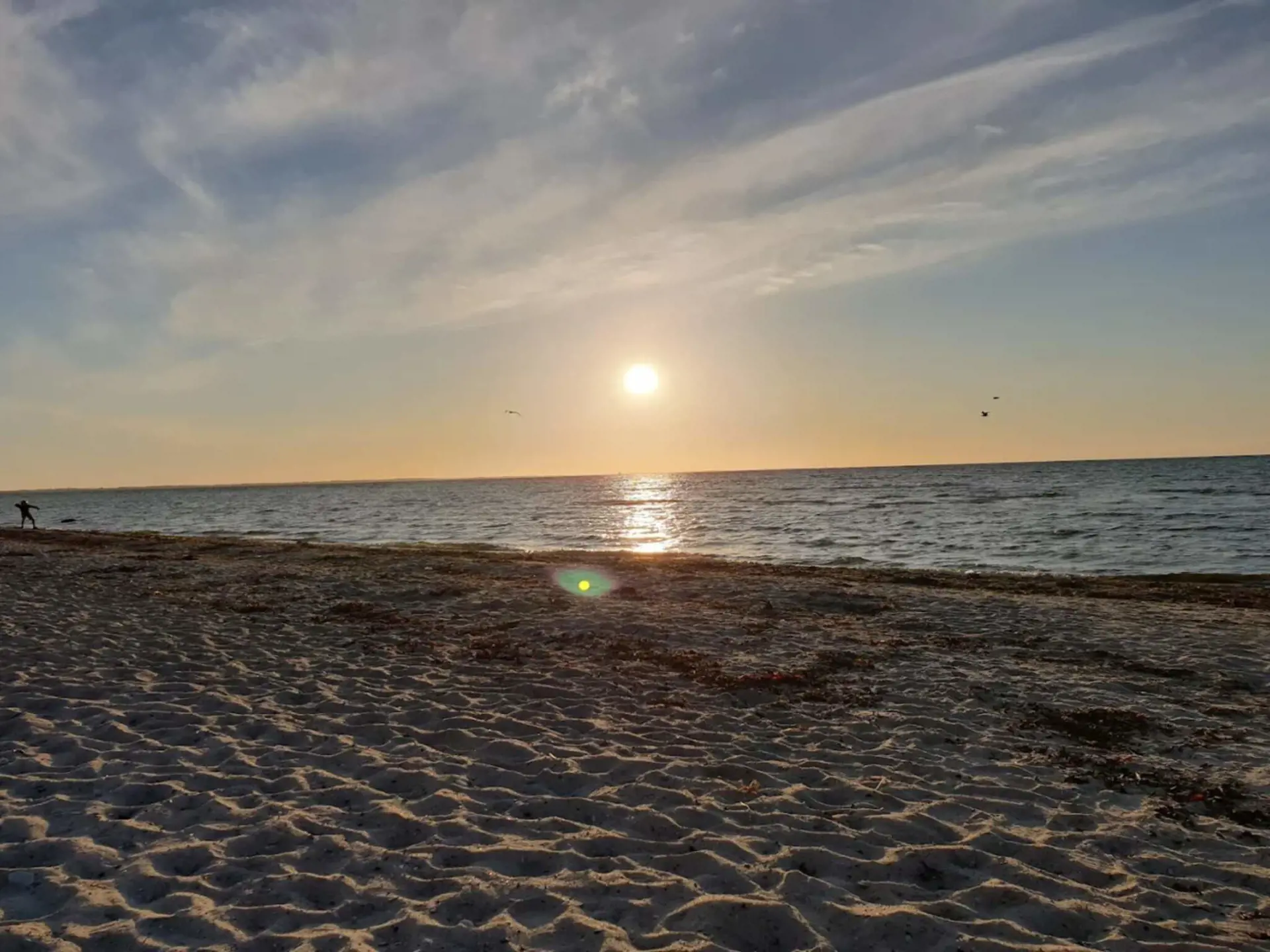 Bild 35 von 55