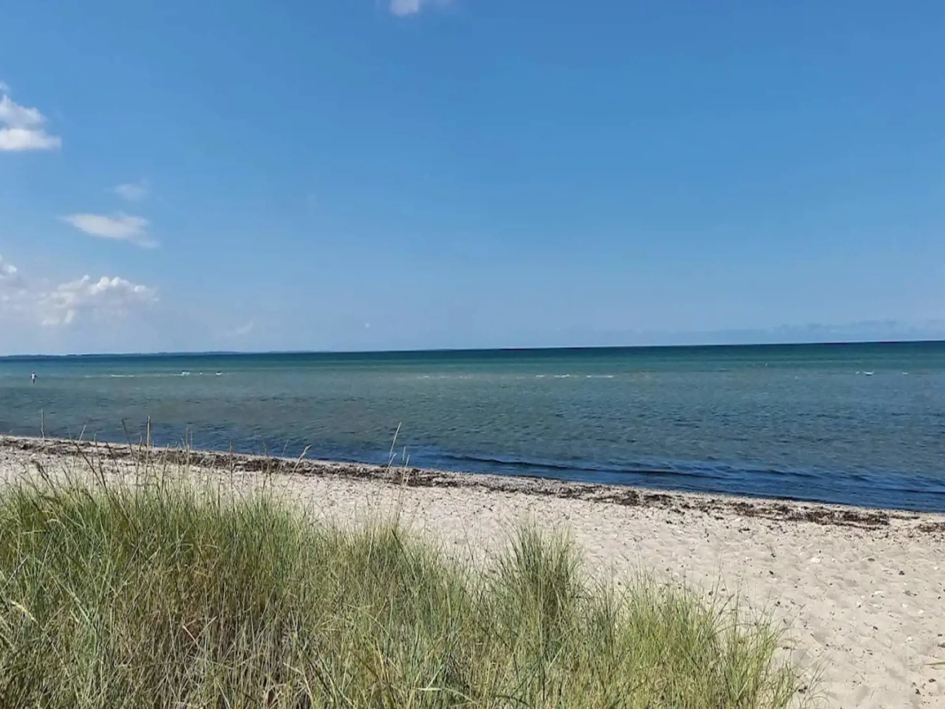 Bild 38 von 55