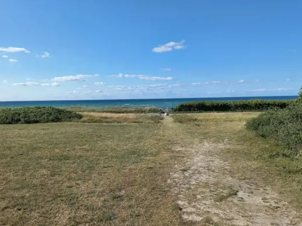 Bild 36 von 60