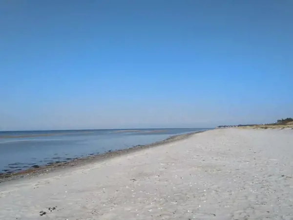 Bild 39 von 60