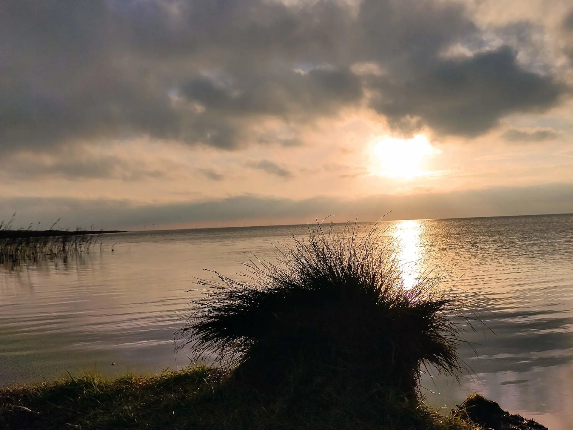 Bild 18 von 37