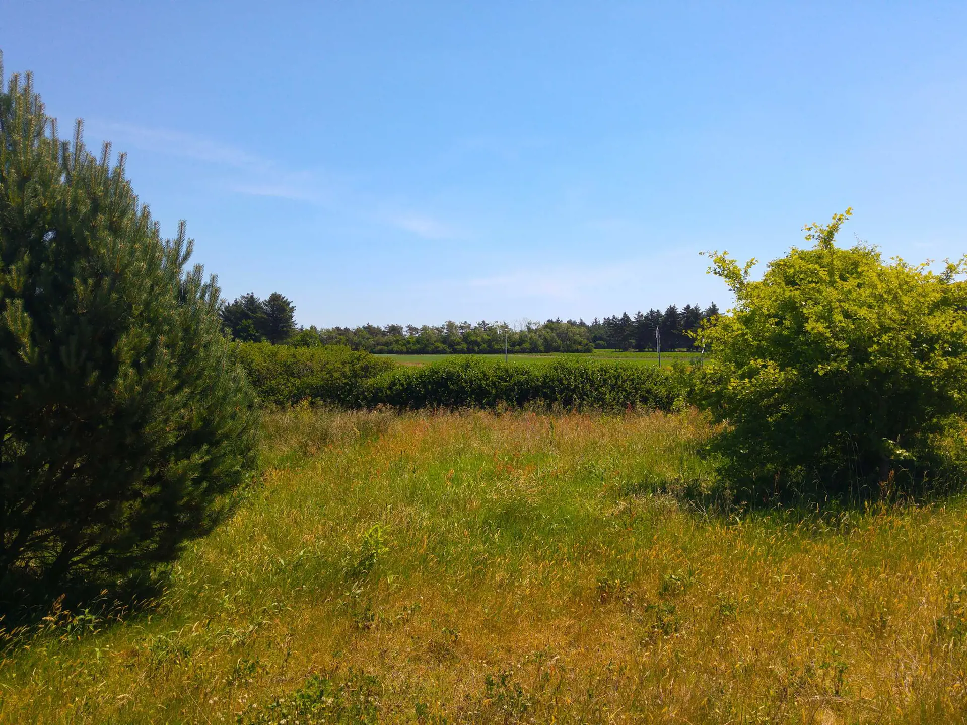 Bild 36 von 37
