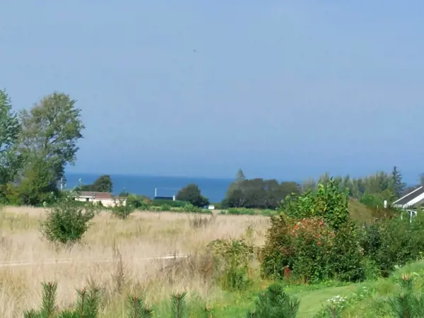 Bild 8 von 24
