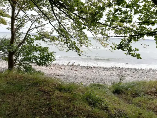 Bild 18 von 39