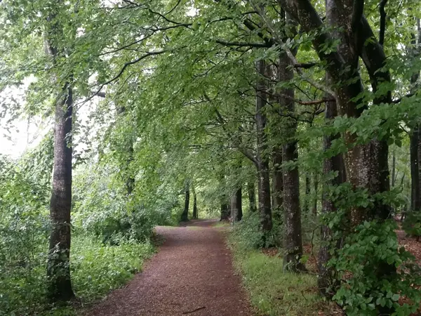 Bild 35 von 37