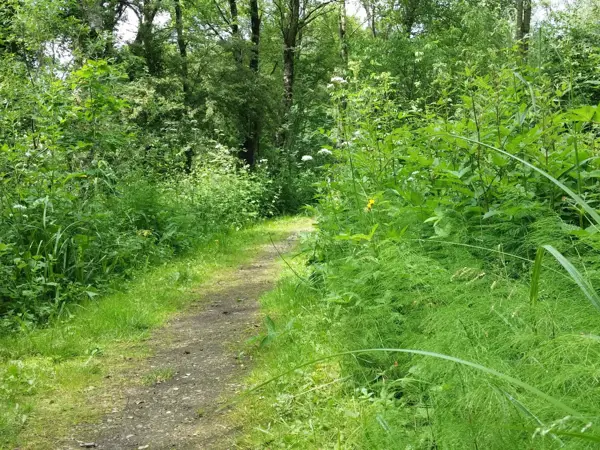 Bild 36 von 37