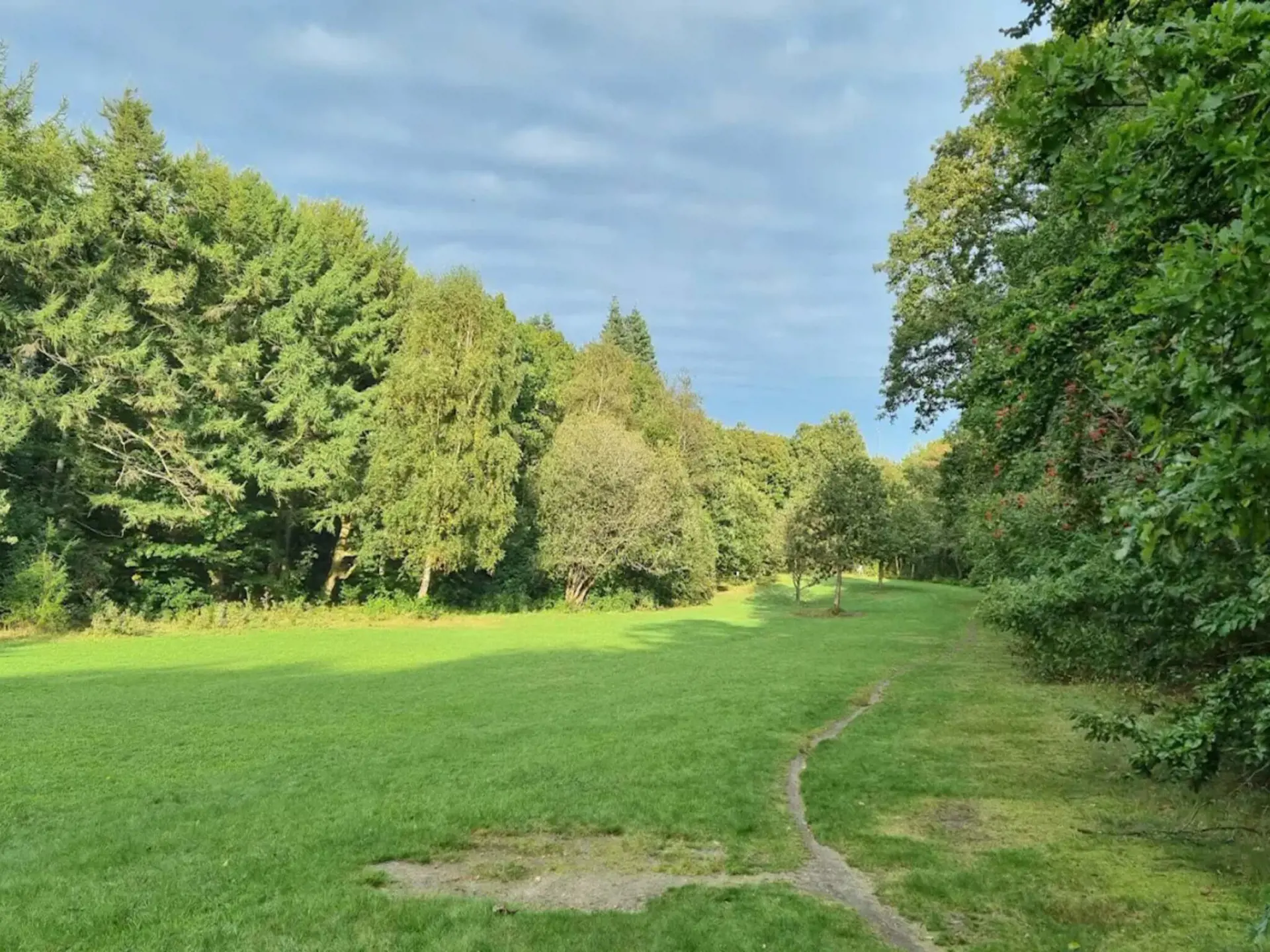Bild 51 von 51