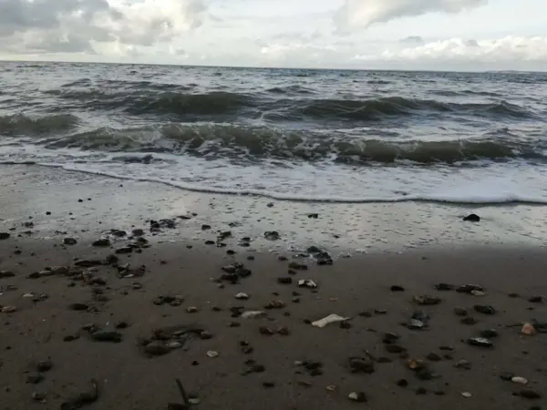 Bild 23 von 49