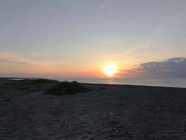 Bild 25 von 50