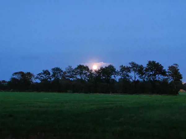 Bild 39 von 39
