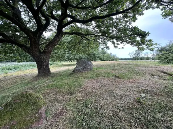 Bild 30 von 40