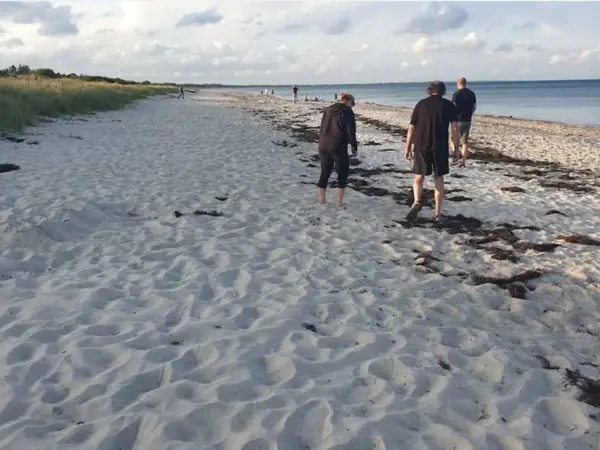 Bild 29 von 33