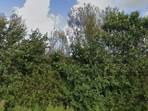 Bild 35 von 40
