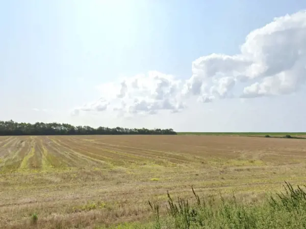 Bild 37 von 40