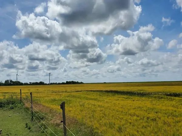 Bild 40 von 40