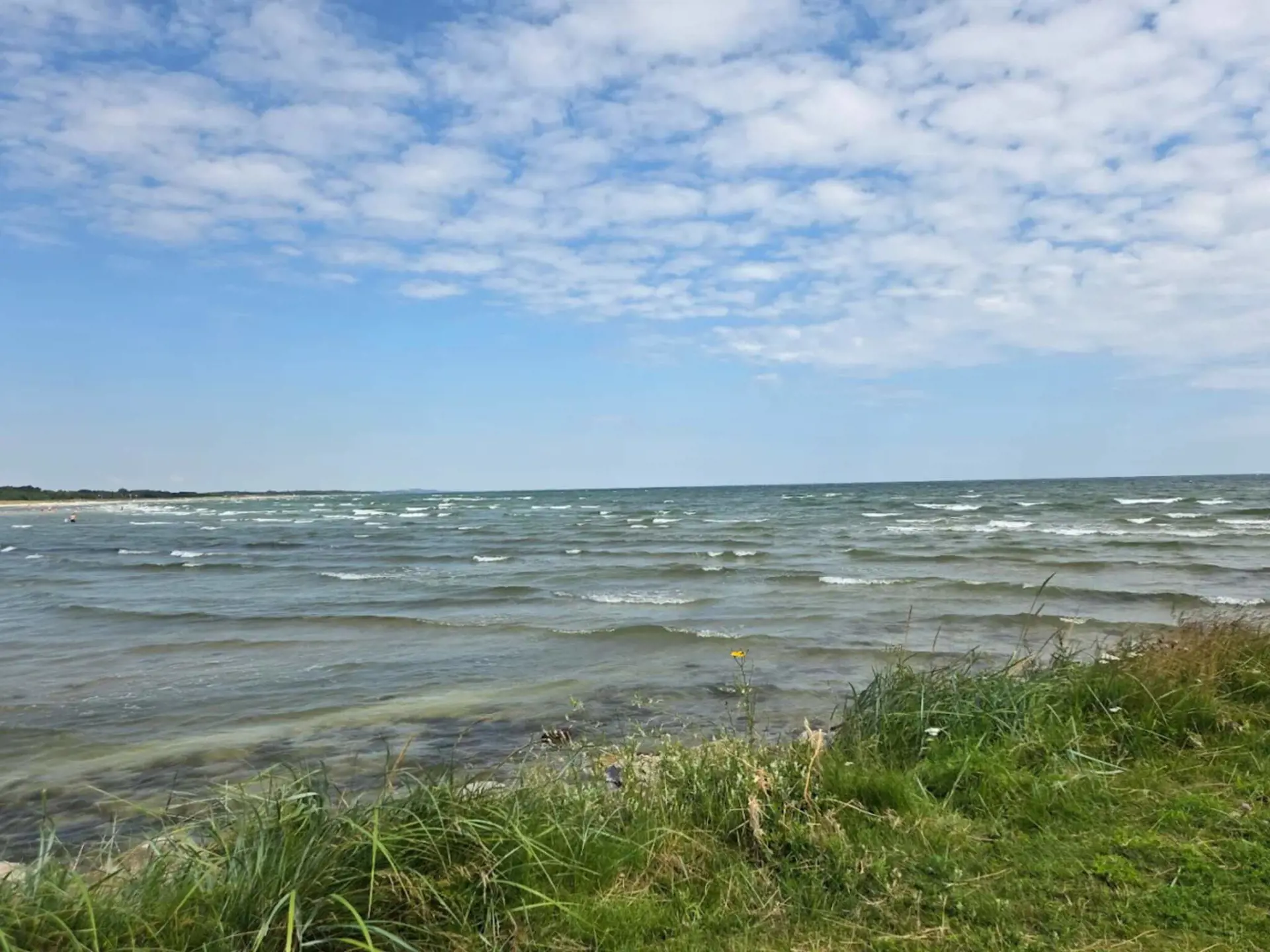 Bild 43 von 54