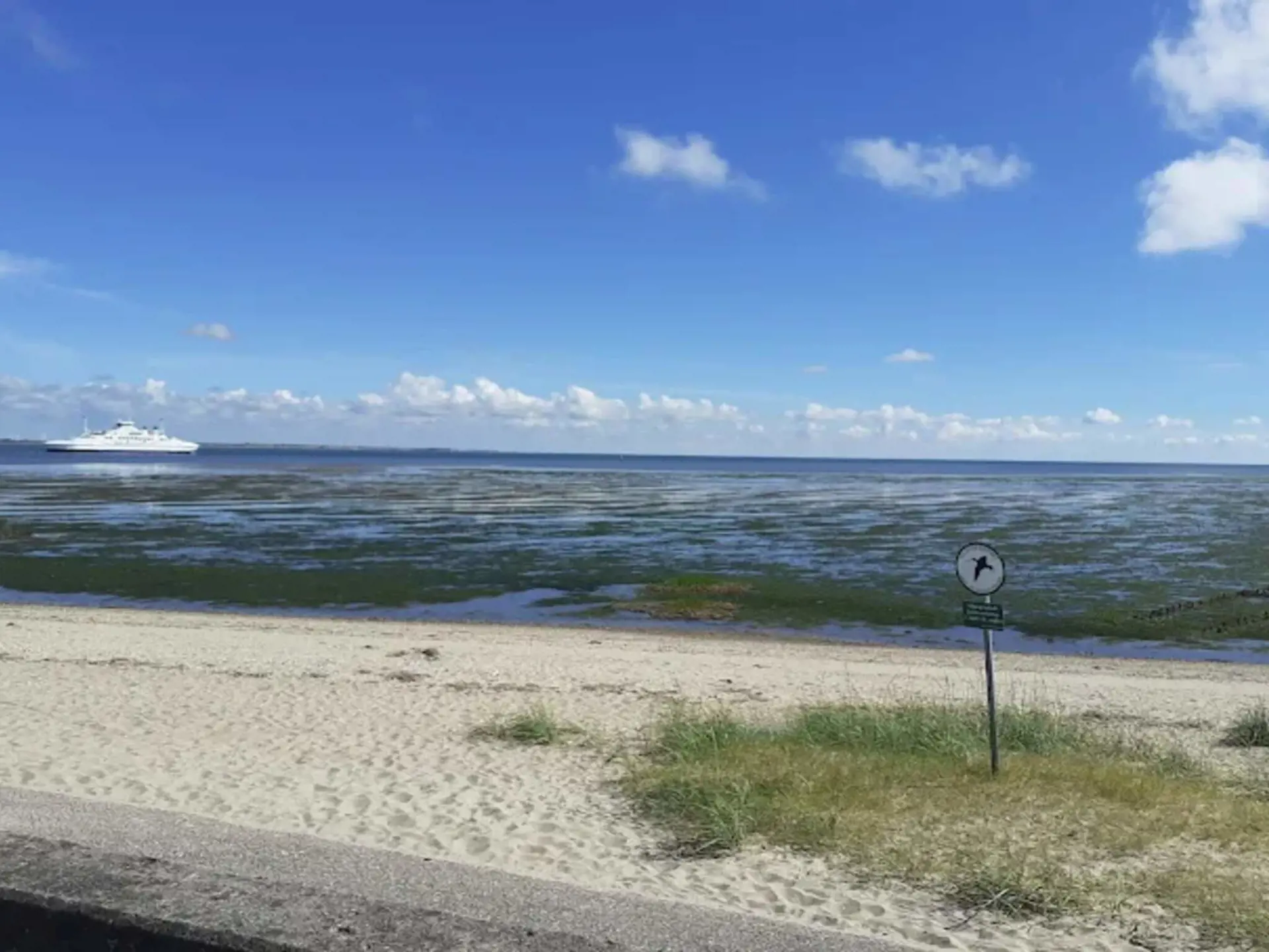 Bild 9 von 38