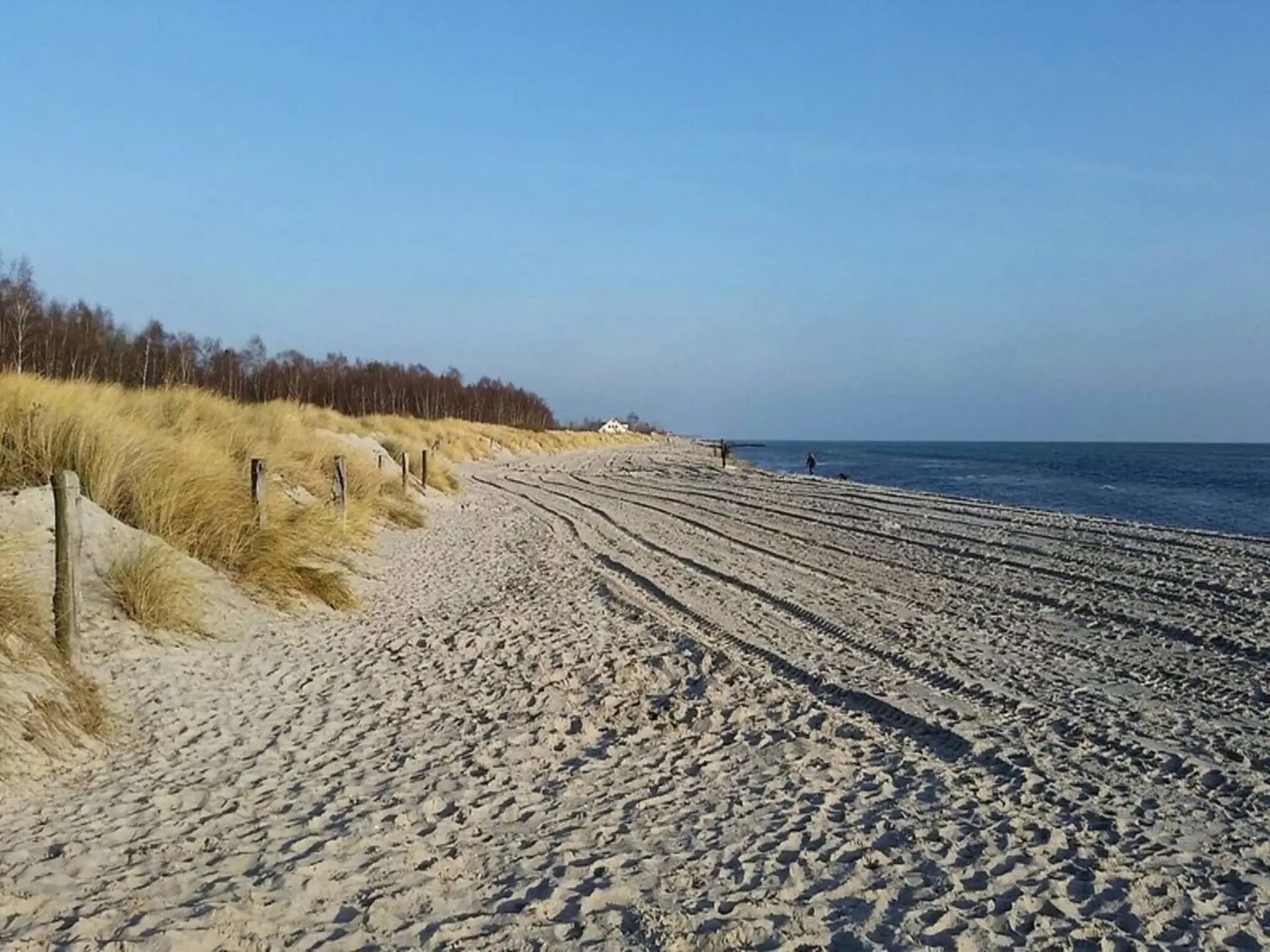 Bild 15 von 38