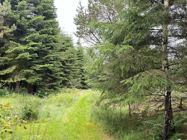 Bild 19 von 31