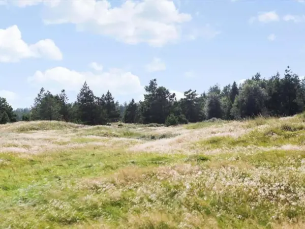 Bild 31 von 31
